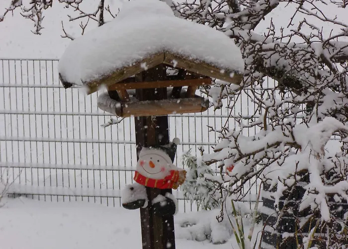 Апартаменты Schanbacher *