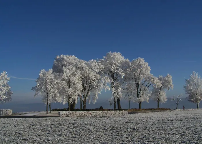 Schanbacher Апартаменты Оберцент